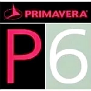 Primavera P6 Advanced Planning Scheduling for Construction Engineering